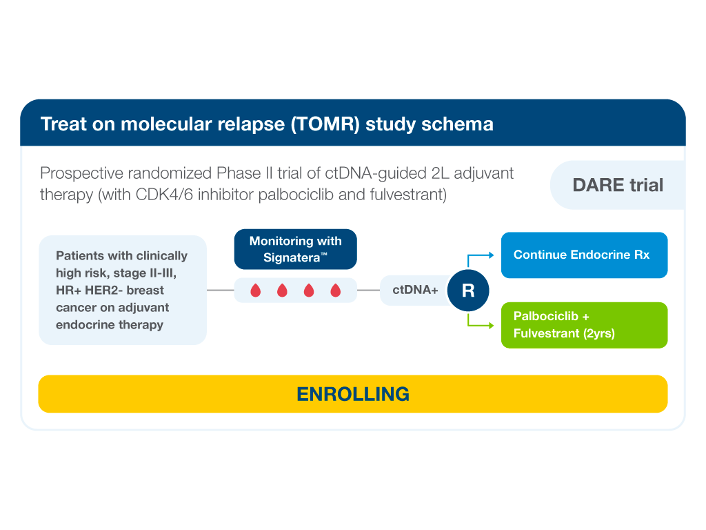 Shema DARE studije — Treat on molecular relapse (TOMR)